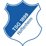 Escudo do 1899 Hoffenheim
