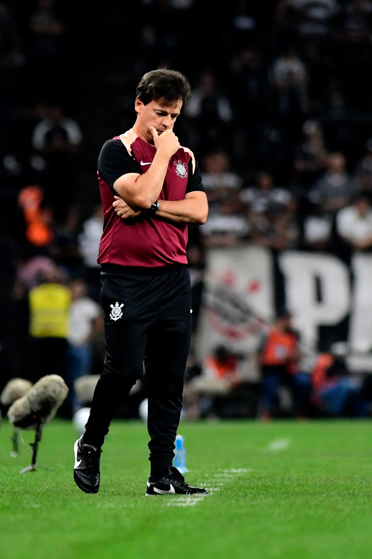 Diniz acusa arbitragem