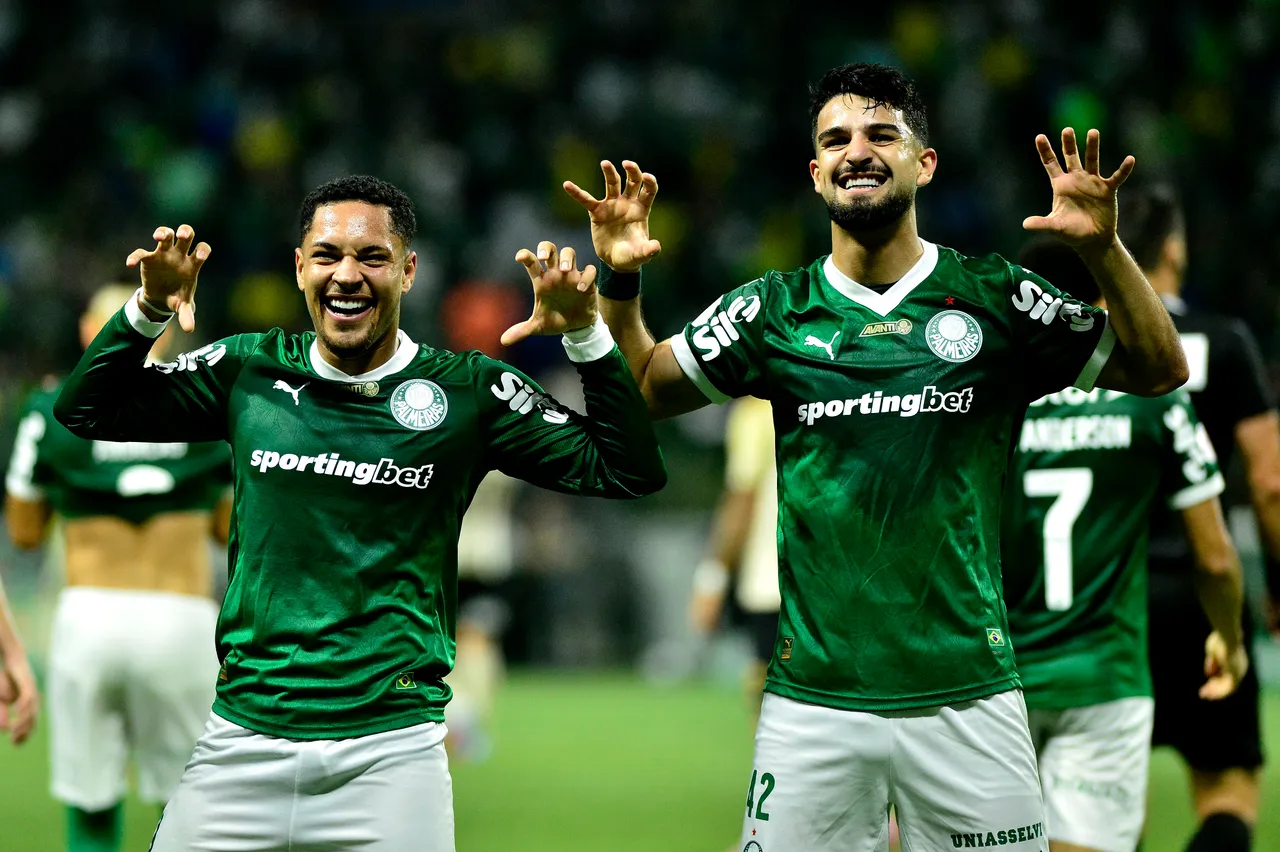 Palmeiras busca solução