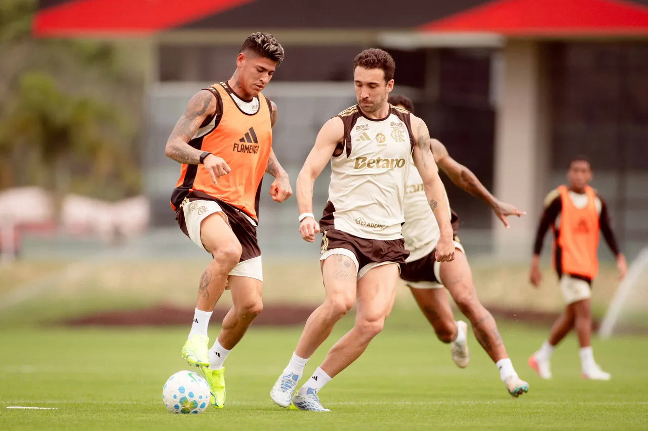 Flamengo recebe reforço