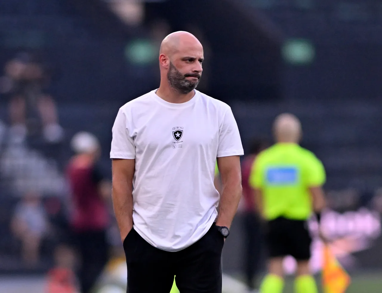 Botafogo contrata reforços