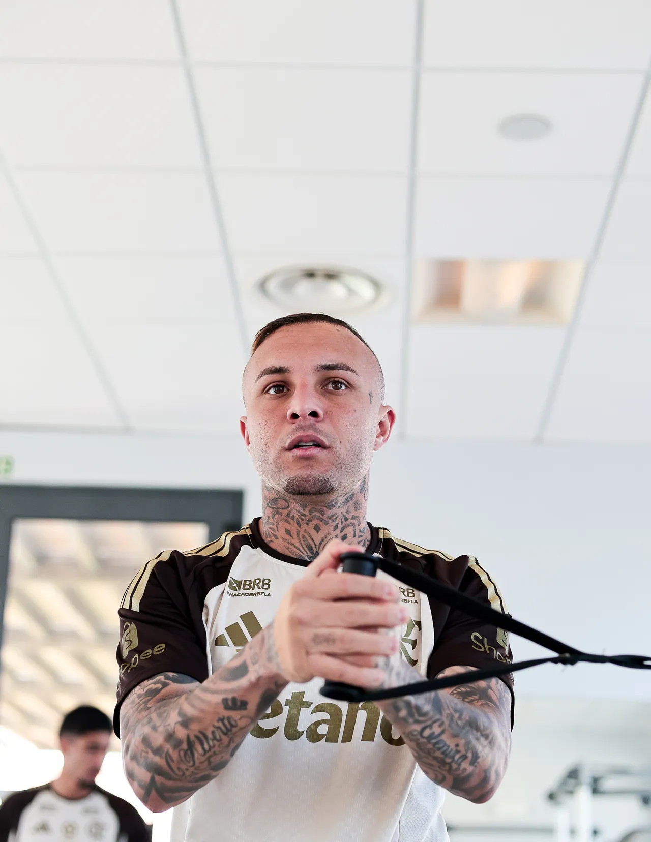 Cebolinha projeta ápice