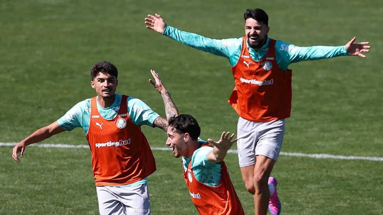 Palmeiras sem Paulinho