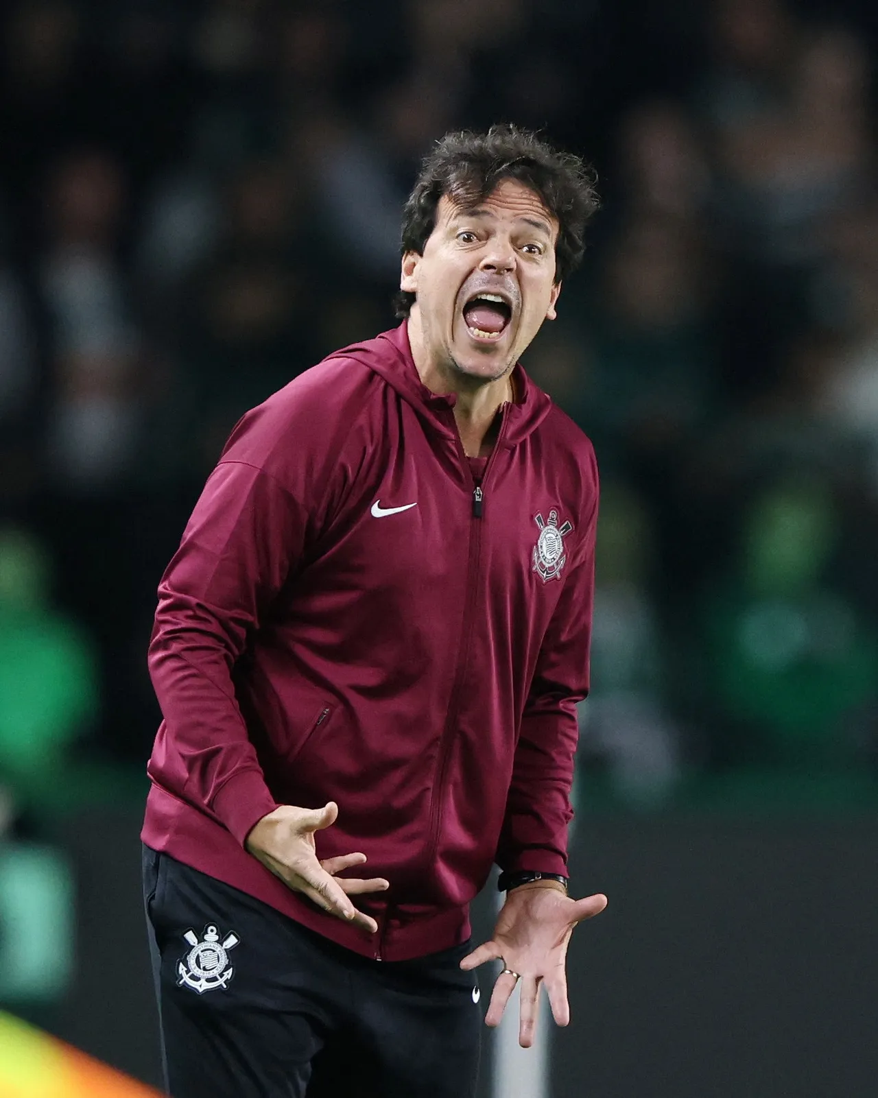 Diniz culpa desgaste e oscilações pela derrota ao Coritiba